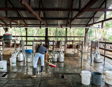 stallreinigung reinigungsfirma fh dienstleistungen